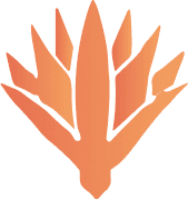 Morning Lily QMS Logo